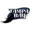 Tampa Bay Devil Rays logo - MLB